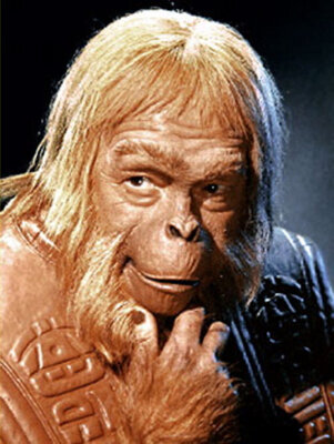 zaius