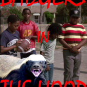 badger in the hood